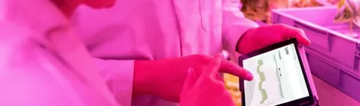 Scientists looking at data on a tablet in a greenhouse